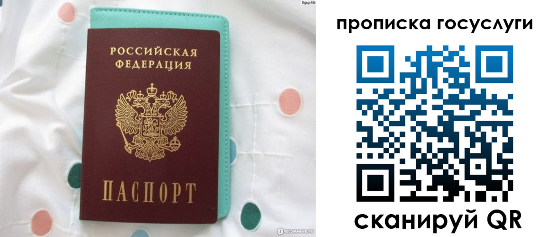 прописка поиск в Котовске